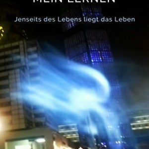 Dein Tod - Mein Lernen: Jenseits des Lebens liegt das Leben
