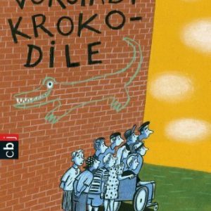Vorstadtkrokodile: Eine Geschichte vom Aufpassen